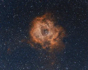 عدسة عمانية